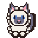 Ragdoll macska